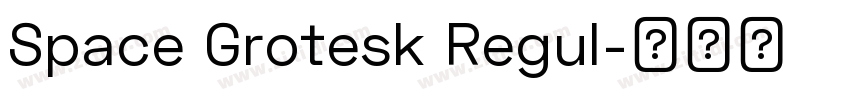 Space Grotesk Regul字体转换